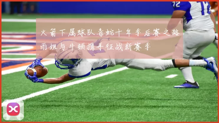 火箭下属球队毒蛇十年季后赛之路雨姐与牛顿携手征战新赛季